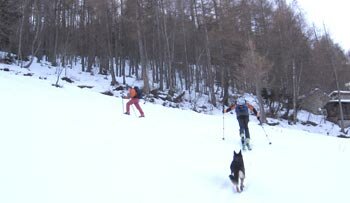 scialpinismo in Aprica