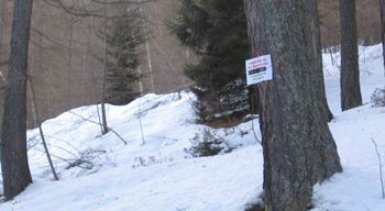 scialpinismo in Aprica